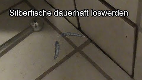 Silberfische dauerhaft loswerden / Silberfische OHNE CHEMIE bekämpfen – Hausmittel Tipp