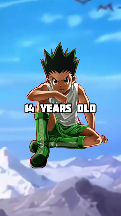 Hunter X Hunter Characters Ages End Of Anime