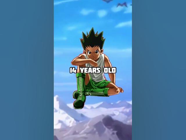 Hunter X Hunter Characters Ages End Of Anime