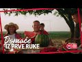 Domaće iz prve ruke - Lubenica