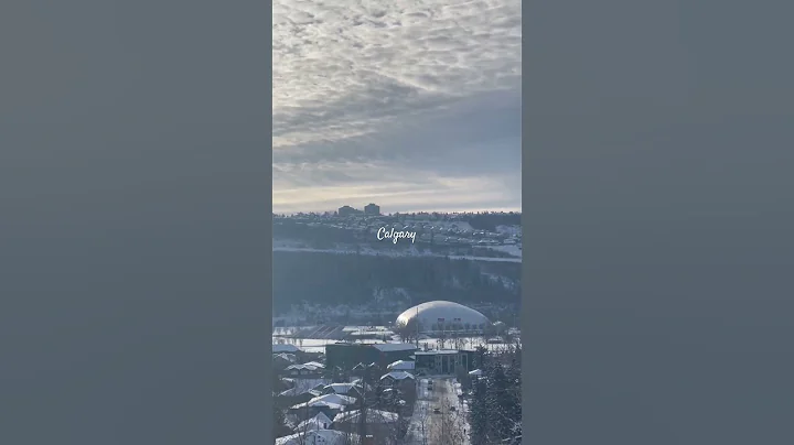 #beegees #music #love #snow #discoveringcanada #musicstyle #musicgenre #wintertree #canada #calgary