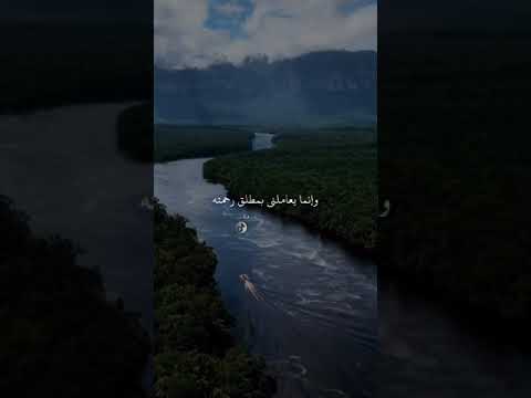 البشر كلهم خطاؤون الدكتور مبروك زيد الخير