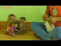 Monkey Kako With Baby Luna And Tiny Nina Sit Waiting Eat Fried Cakes