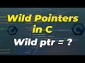 Wild Pointers In C Programming Language