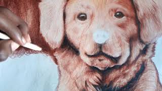 como DIBUJAR PERRO HIPERREALISTA con COLORES paso a paso screenshot 2