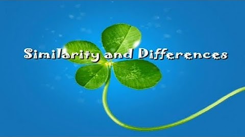 Similarity And Differences. Std-1st