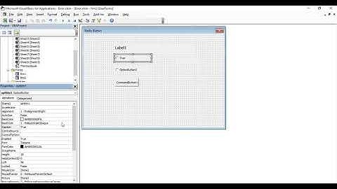 Excel VBA Tutorial for Beginners 65 - Radio Buttons in User Forms