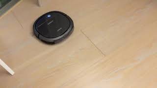 IMG 6503