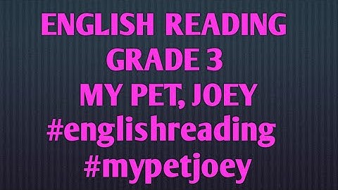 ENGLISH READING - GRADE 3 MY PET, JOEY #englishreading  #mypetjoey