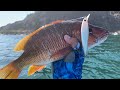Pesca de PARGOS con MINNOW || JERKBAIT || MEDIA AGUA || pescando en ALTAMAR.