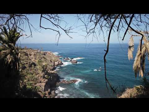 La Rambla de Castro, Tenerife: natural reserve. Drone overview and trekking | Video