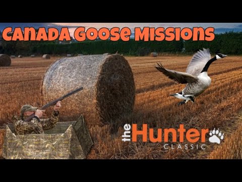 Видео: The hunter classic Canada Goose Missions! Канадская Казарка! как выполнить 10 миссию с длинного лука