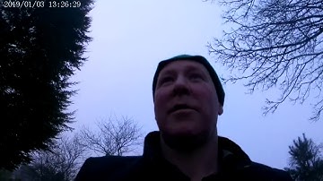 Tree trimming, hedge reduction Per Terram Landscapes and tree services