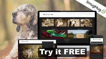 Use this as your Dog breeder website template, dog kennels, show dogs,