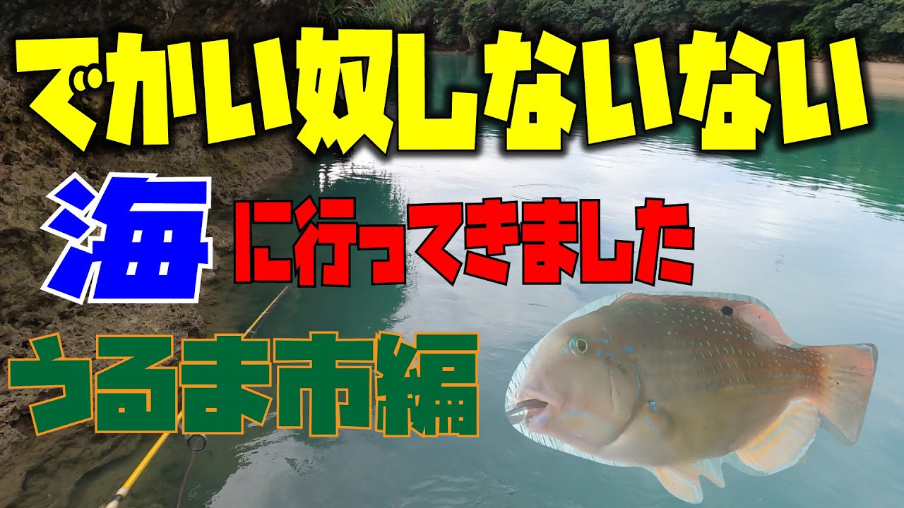 沖縄釣り カニングで釣る マクブ ミーバイ Youtube