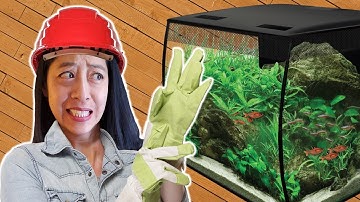 I “Fixed” This Aquarium Kit (and Almost Killed My Fish)