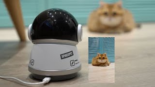 World’s first PICKFUN AI Pet Camera (only for cats and dogs)!