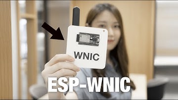 ESP-WNIC: Espressif’s Wireless Network Interface Controller