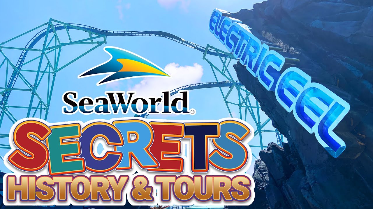 SECRETS OF SEA WORLD’S ELECTRIC EEL ROLLER COASTER YouTube