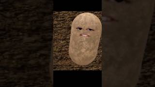 Bro rizzed a potato #zebkii