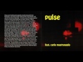 Pulse – Pulse ( Feat. Carlo Mastrangelo) 1972