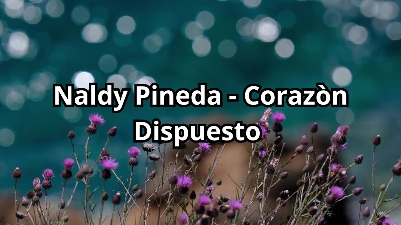Naldy Pineda -Corazón Dispuesto LETRA