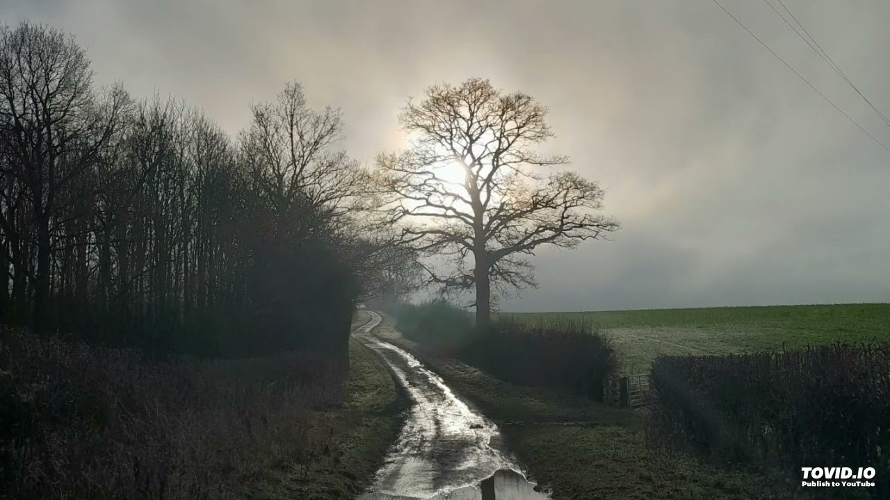 Sonata for Solo Violin No 6, in A minor: Sonata con Rammarico Doloroso, by Stephen Gamble