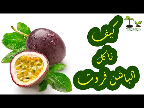 كيف ناكل الباشن فروت