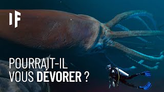 Et Si Vous Étiez Attaqué Par Un Calmar Géant ?