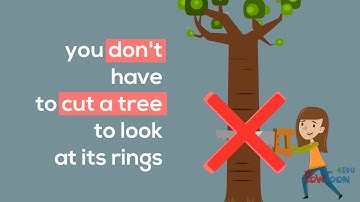 Climate Proxy - An introduction on ways to measure the atmosphere