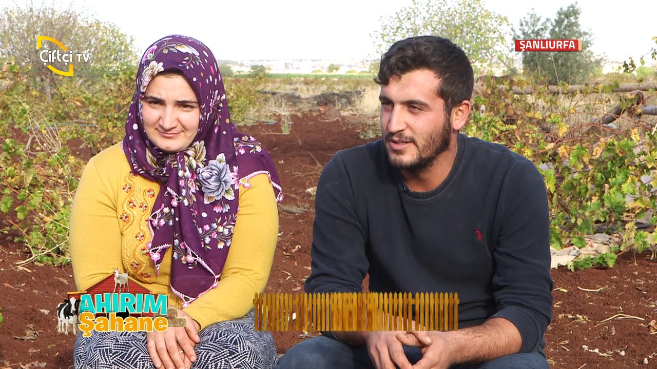 Ahırım Şahane - Bu Hafta Şanslı Talihlimiz Urfa Siverekten İzol Ailesi Ahırımızda Neler Yapıldı.