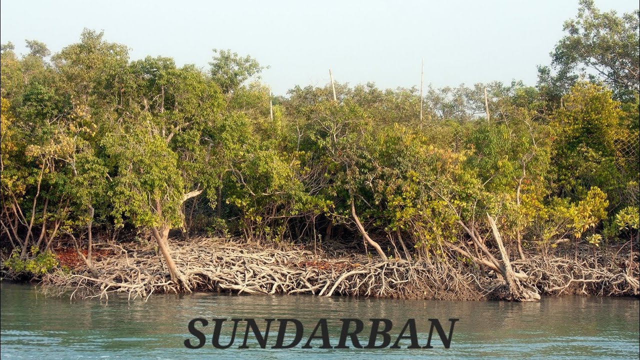 Sundarban tour 2026||Day - 1