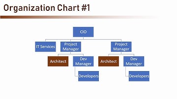 The Complete Guide to Becoming a Software Architect (7/113) Organizational Chart