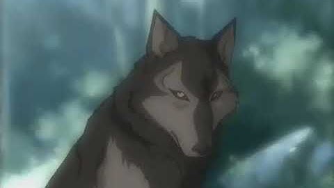 The Wolf - Code Lyoko