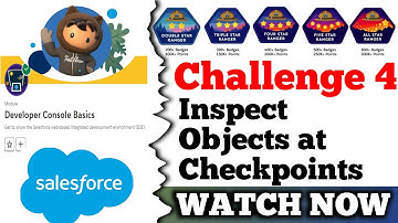 Inspect Objects at Checkpoints || Developer Console Basics || Salesforce || Challenge 4