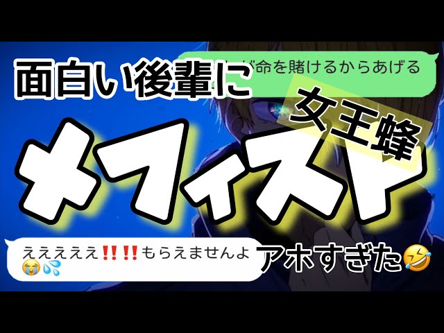 メフィスト女王蜂
