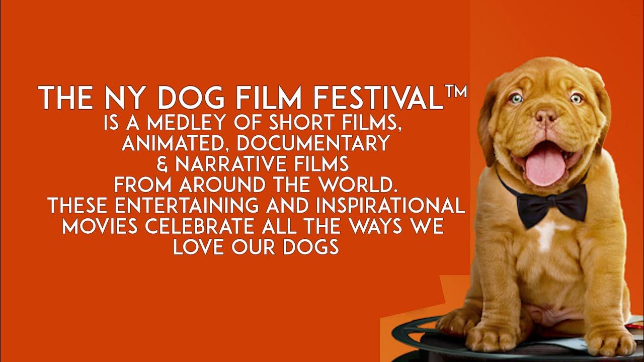 6th Annual Dog Film Festival NYC Premiere YouTube