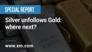 Special report: 31/03/2021 - Silver unfollows Gold: where next?