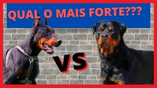 DOBERMAN VS ROTTWEILER  QUAL O MAIS FORTE??