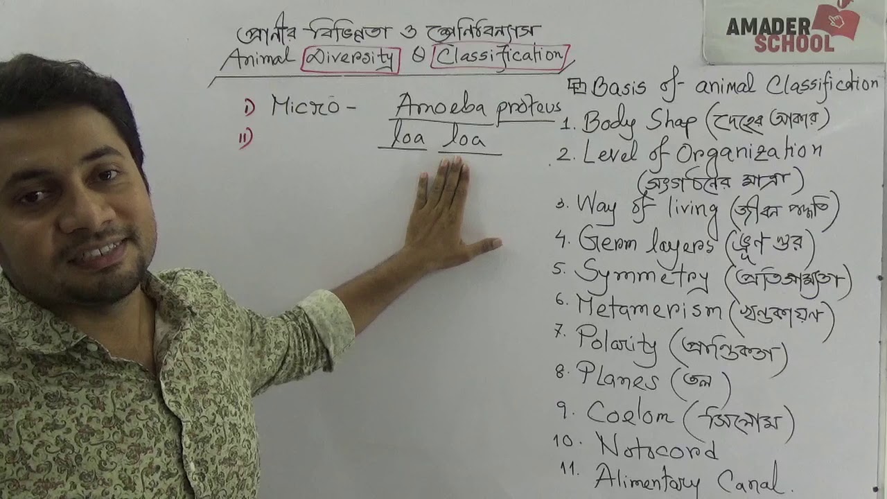 01. HSC Zoology Chapter 1 | Part 1 | Classification and Diversity | Basis of Classification