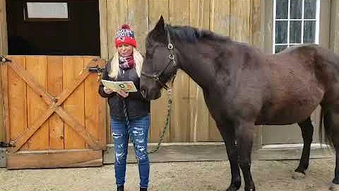 Molly reads "C is for Consent" by Eleanor Morrison...