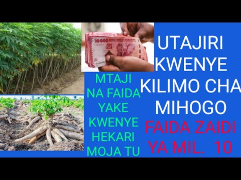 Video: Mazao ya Kilimo Moja - Jifunze Kuhusu Madhara ya Kilimo Kimoja