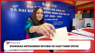 Overseas Vietnamese return to cast their votes| Vietnam Today