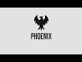 Phoenix الي اللا نهاية Maadi Infinity Phoenix الي اللا نهاية Maadi Infinity