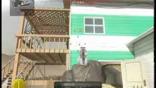 black ops - one in the chamber wallbang
