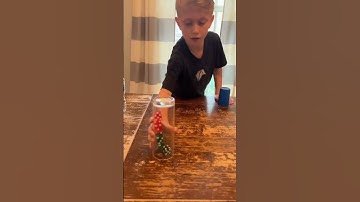 Dice Stacks from $1 to $100 (Part 4) #bipon #comedy  #viral #respect #trending  #shorts #shortvideo