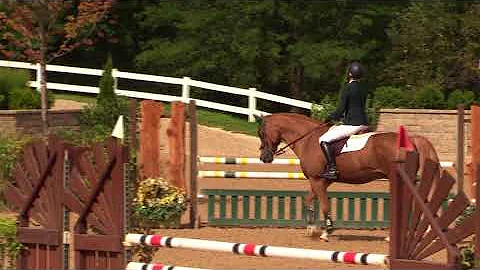 Video of CALADESI ridden by HEIDI SCHAEFER from Sh...