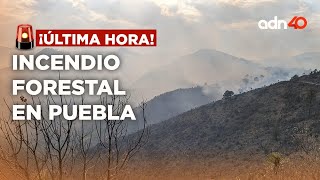  Última Hora Se Suman Labores Para Sofocar Incendio En El Municipio De Libres Puebla