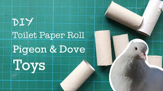 DIY Toilet Paper Roll Pigeon & Dove Toys | 16 Easy Toys