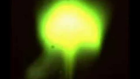 UFO'S AND THE SPIRIT OF THE MOCK-WA-MOSA: BEARWALK...